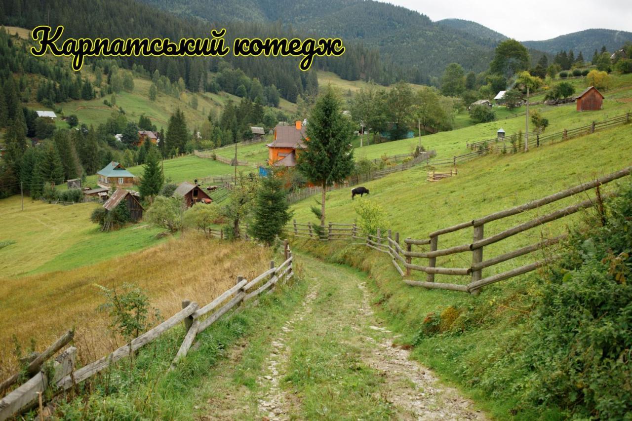 Карпатський Котедж Karpatian Cottage Vorokhta Exterior foto